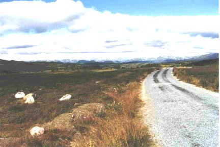 {short description of image}