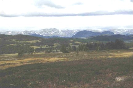 {short description of image}