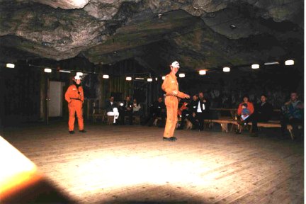 {short description of image}