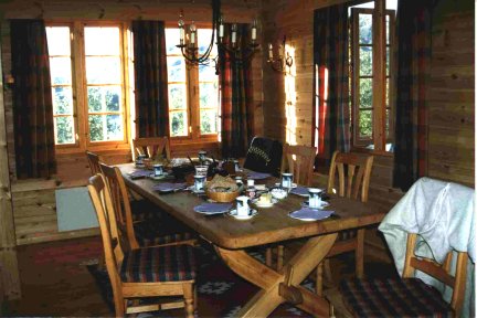 {short description of image}