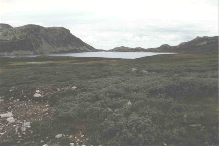 {short description of image}