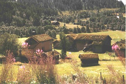 {short description of image}