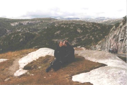 {short description of image}