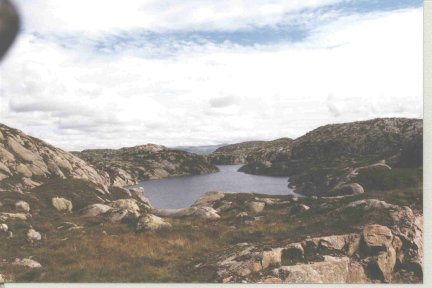 {short description of image}