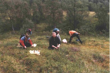 {short description of image}