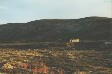 {short description of image}