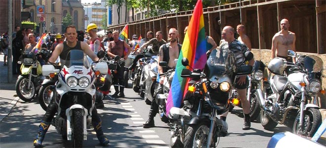 {short description of image}