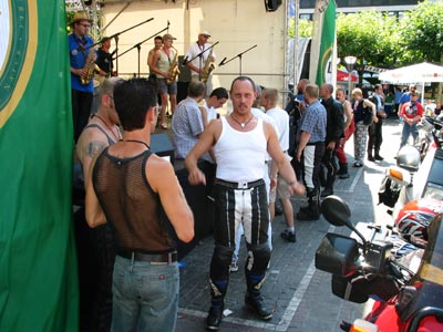 {short description of image}