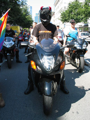 {short description of image}