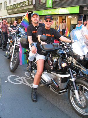 {short description of image}