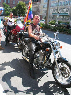 {short description of image}