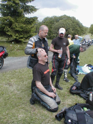 {short description of image}