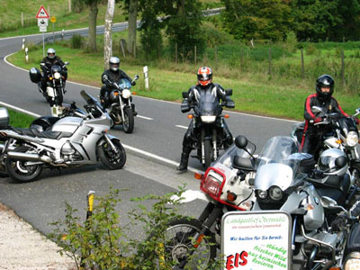 {short description of image}