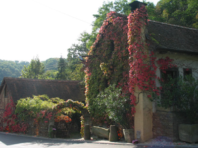 {short description of image}