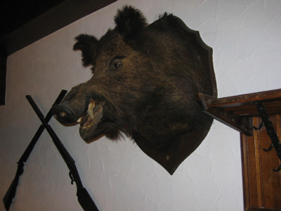 {short description of image}