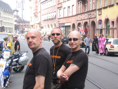 {short description of image}