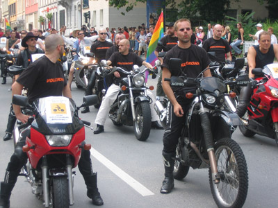 {short description of image}